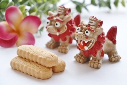 【期間限定】南国沖縄市