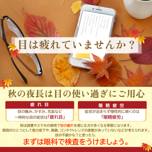 【目は疲れていませんか？】
