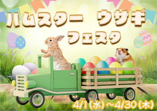 ウサハムフェスタPOP