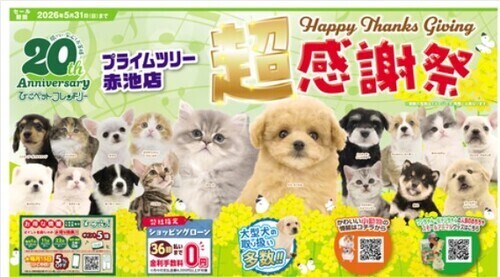 超感謝祭、開催中！！