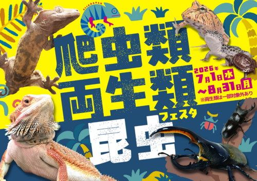 爬虫類・両生類・昆虫フェスタ開催中☆