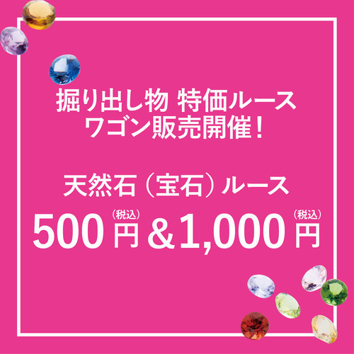 ミネラルルース ワゴン市 開催！！
