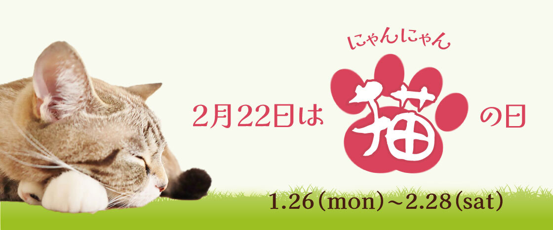 2月22日は猫の日